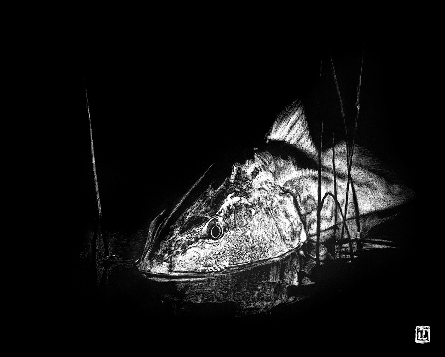 Marsh Crawler – Fine Art Print by Visual-ly