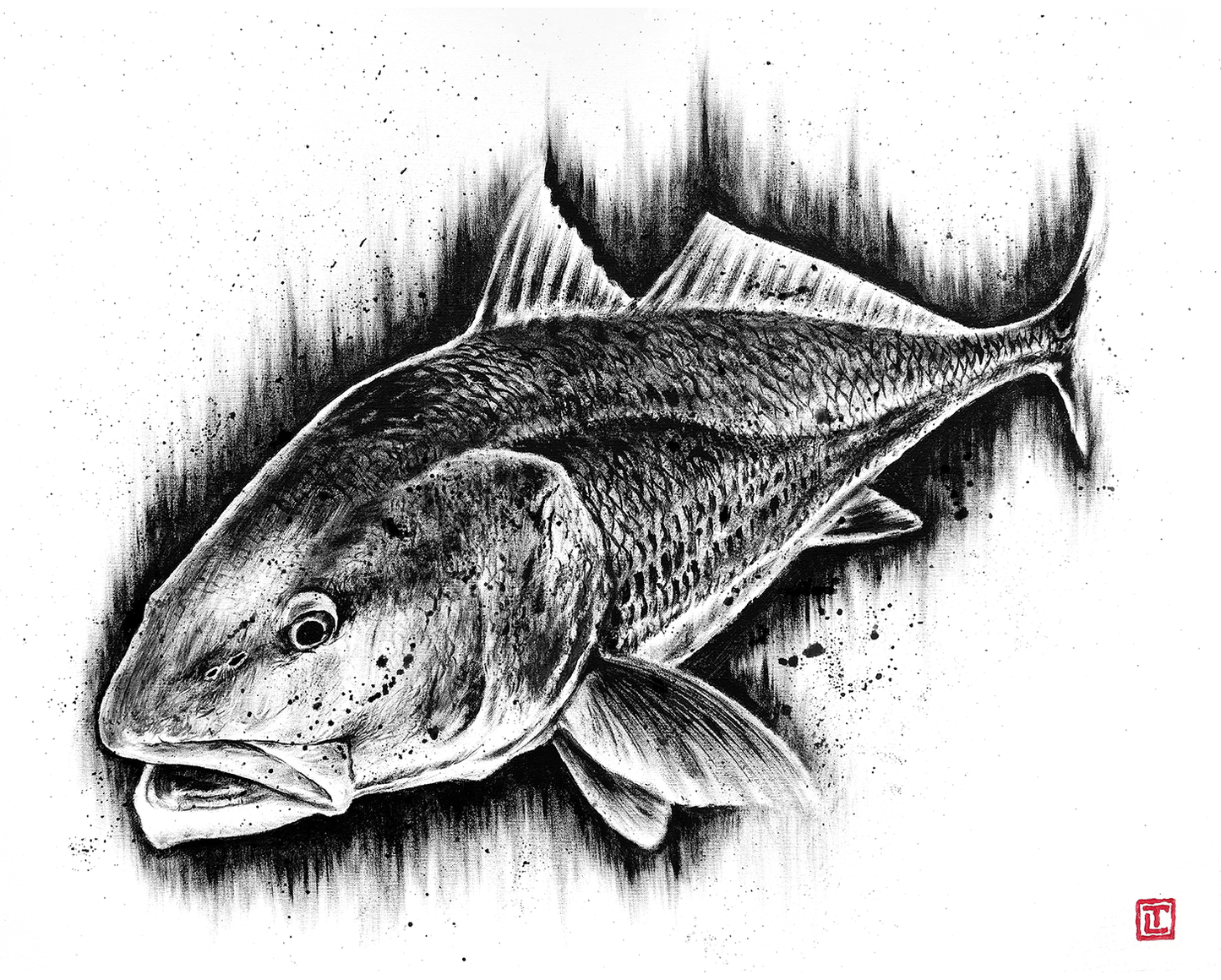 Redfish – Canvas Fine Art Print by Visual-ly