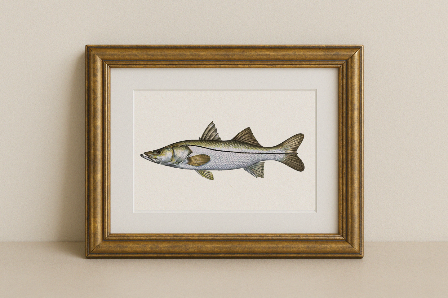 Snook Fine Art Print (8×10) – Coastal Game Fish Illustration – Saltwater Fishing Wall Art