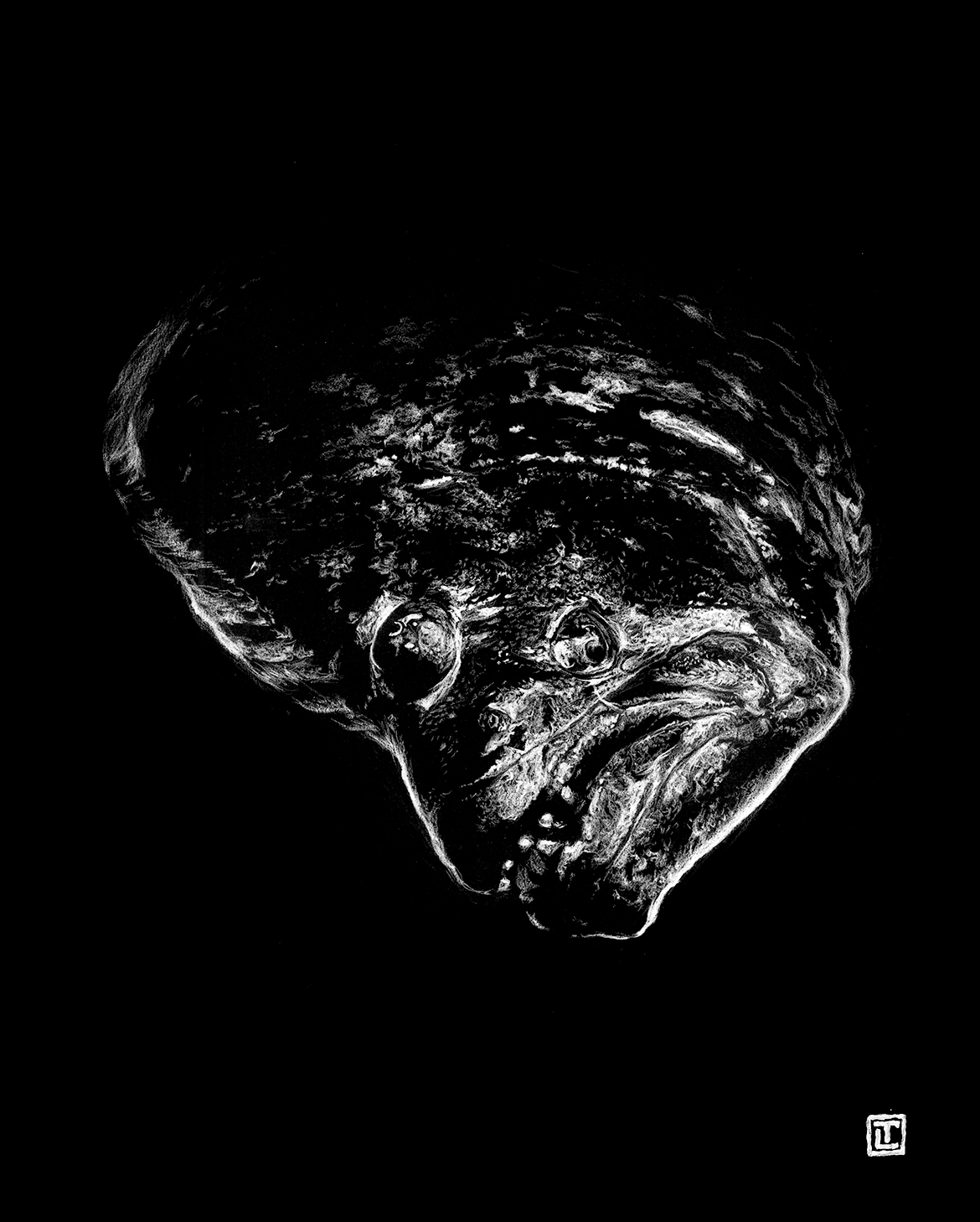 Flounder – Fine Art Print by Visual-ly