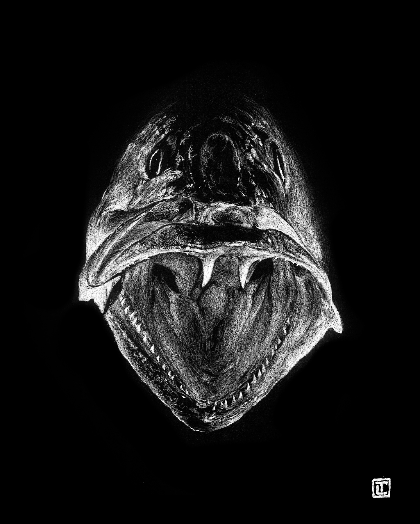 Gator Trout – Fine Art Print by Visual-ly