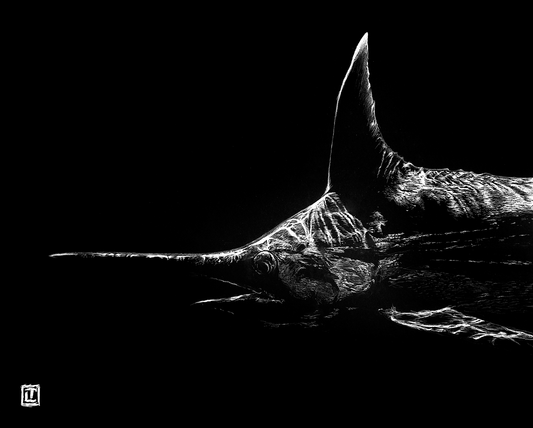 Marlin – Fine Art Print by Visual-ly