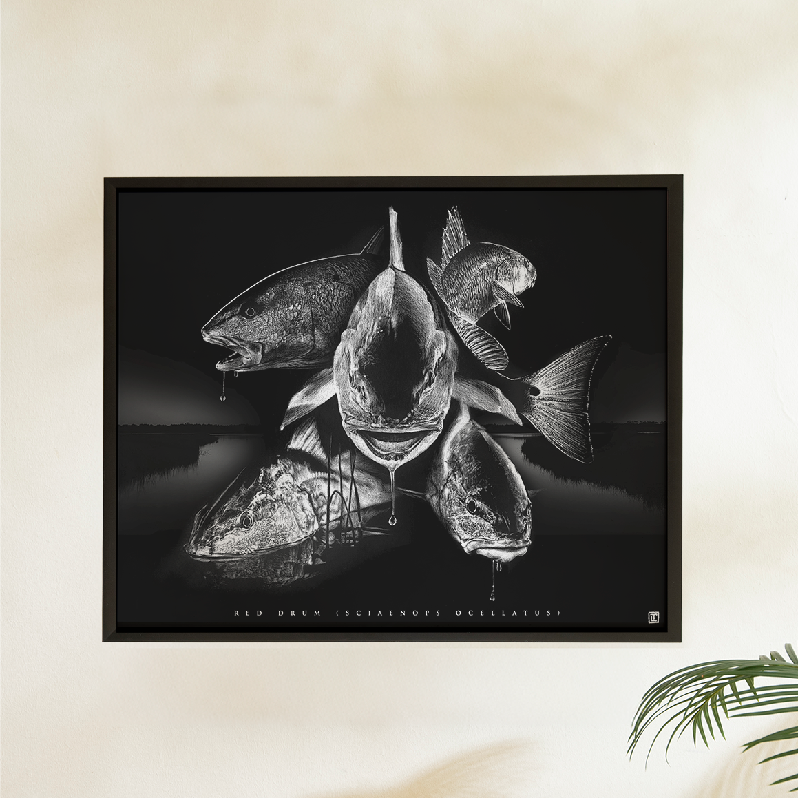Red Drum Collage – 16×20 Print (Visual-Ly)