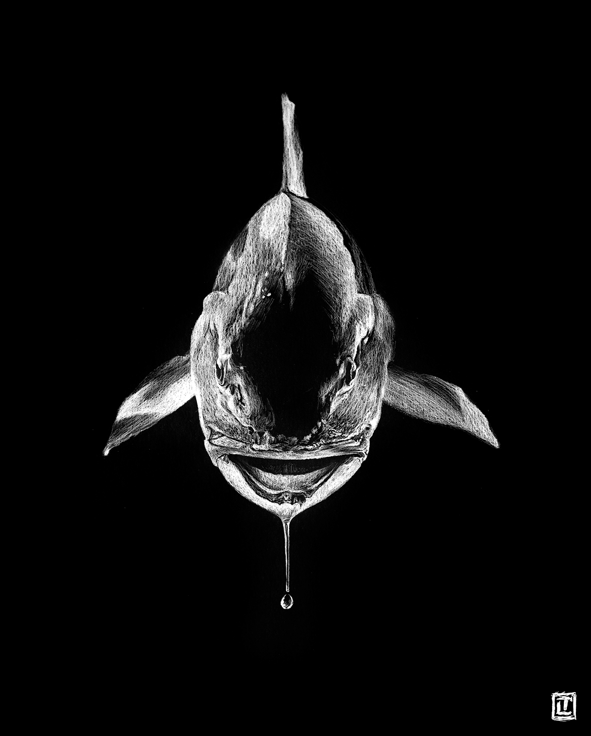 Redfish Drool II – Fine Art Print by Visual-ly