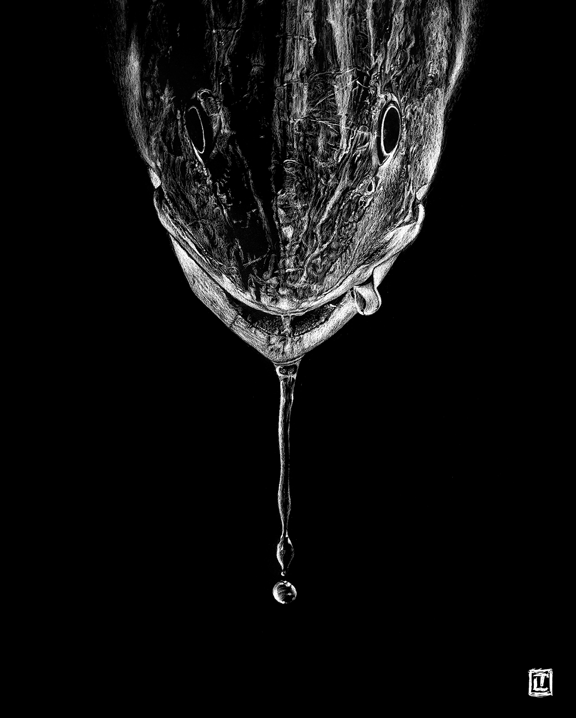 Redfish Drool III – Fine Art Print by Visual-ly