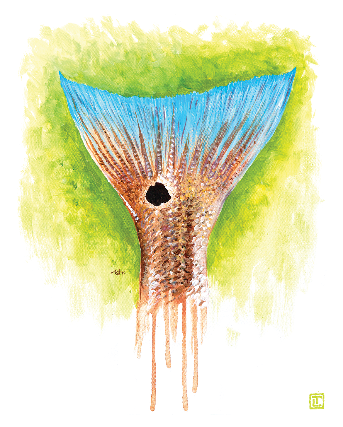 Redfish Tail – Canvas Fine Art Print by Visual-ly