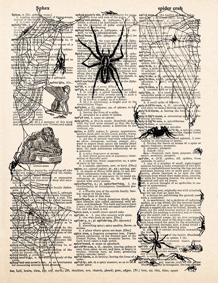 Spiders – 2023 Inktober Dictionary Page Art Print by Amanda Vance