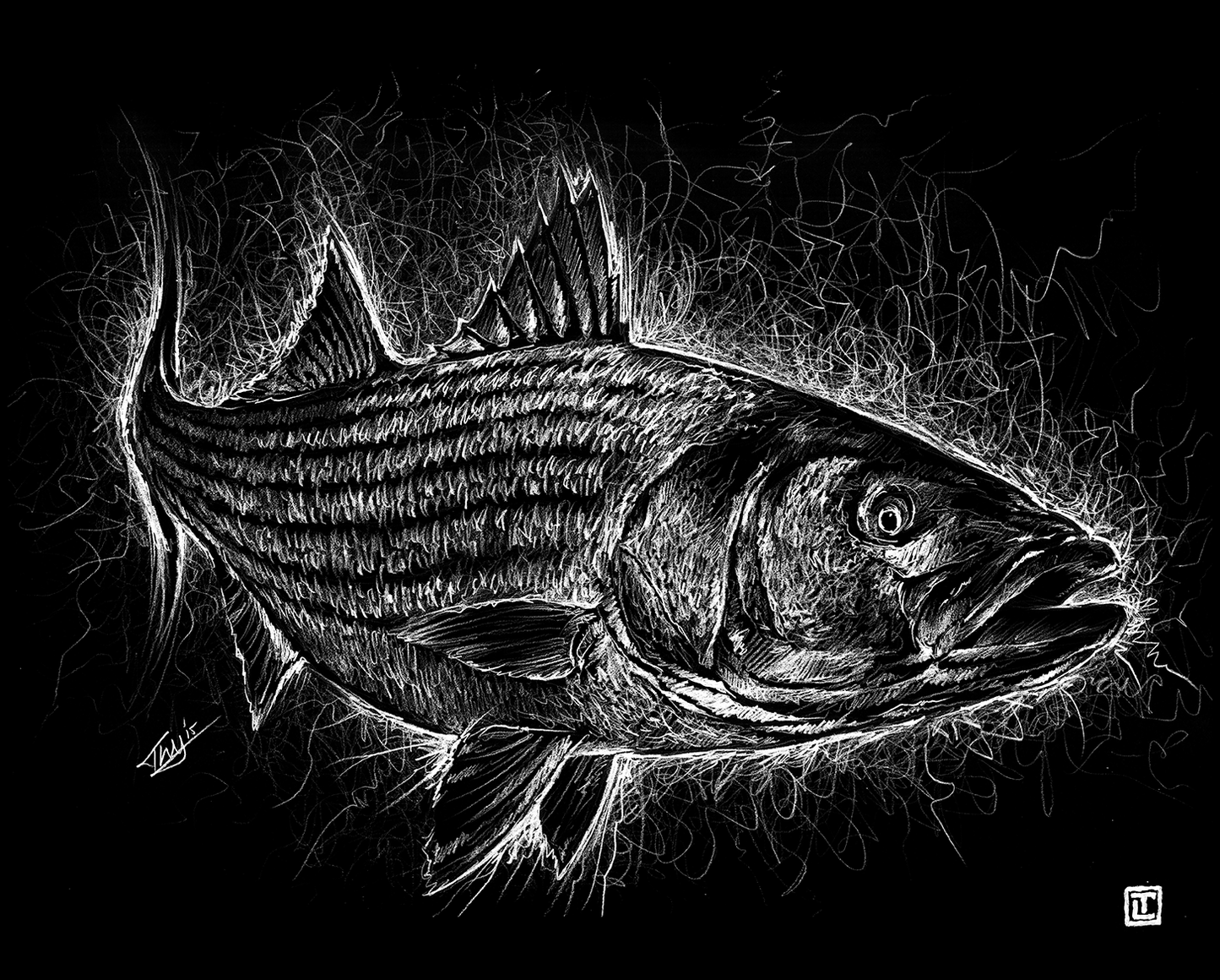 Striper Electric – Fine Art Print by Visual-ly