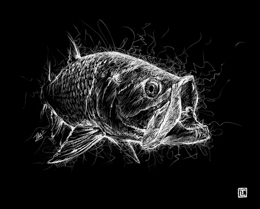 Tarpon Electric – Fine Art Print by Visual-ly