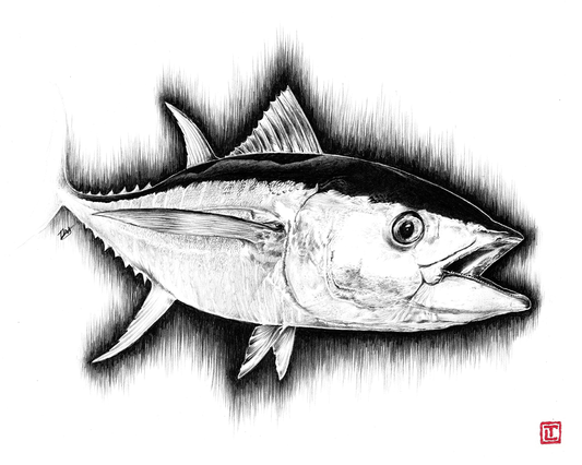 Tuna – Pencil Fine Art Print by Visual-ly