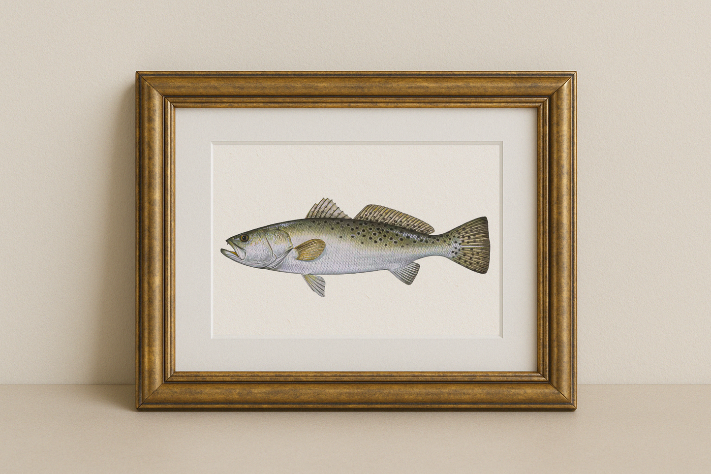 Speckled Trout Fine Art Print (8×10) – Coastal Game Fish Illustration – Saltwater Fishing Wall Art
